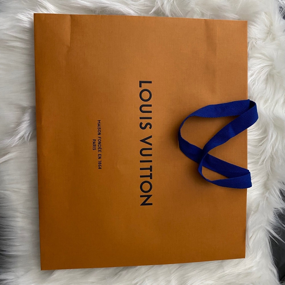 LV  store bag